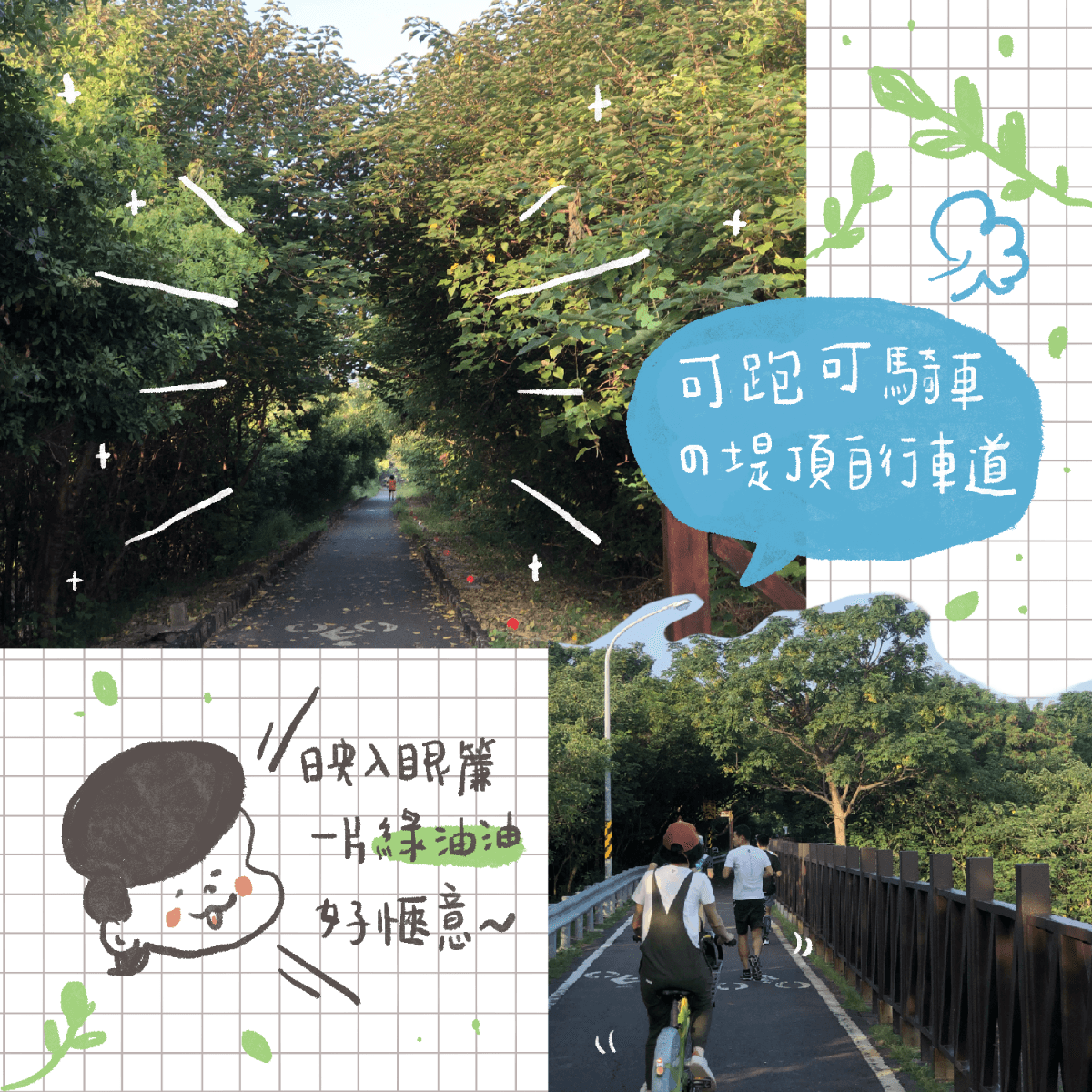 安平堤頂自行車道